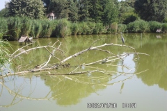 SAM_0631