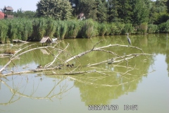 SAM_0632