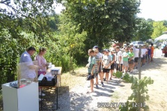 SAM_0667